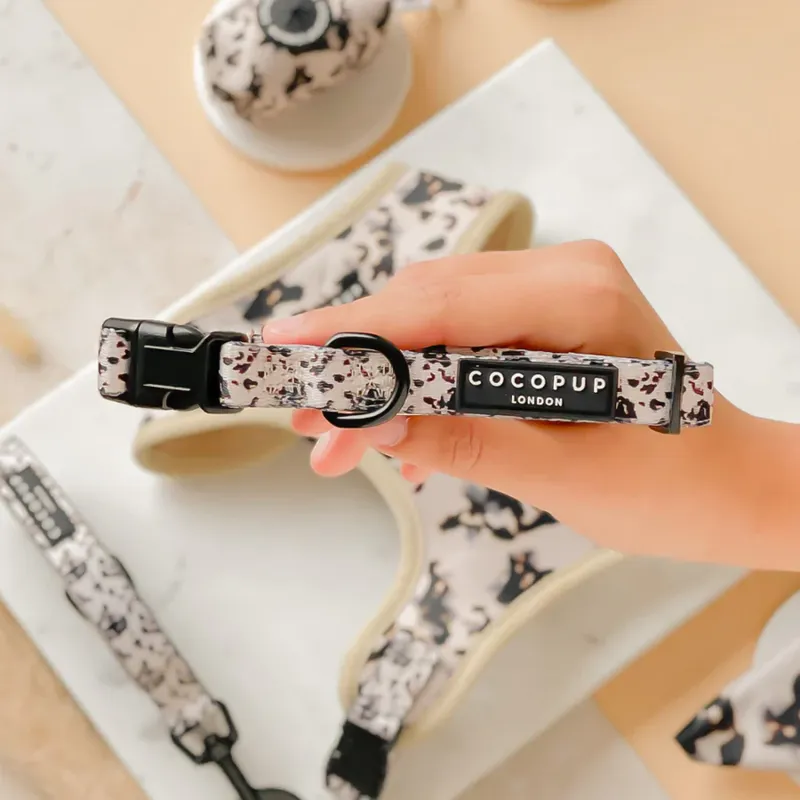 Cocopup Collar in Ivory Tort